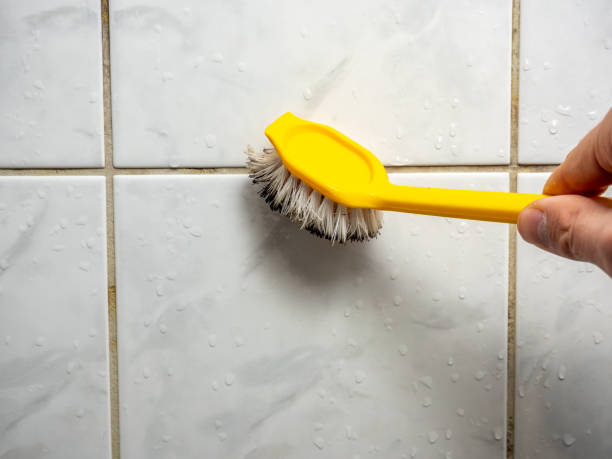 Best Basement Mold Remediation in Northwood, OH