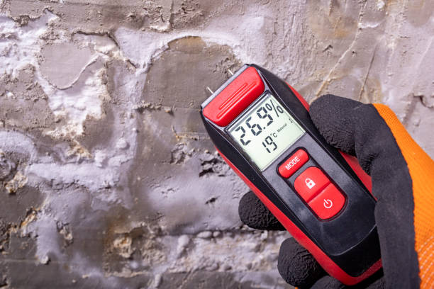 Professional Mold Remediation in Northwood, OH